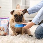 Il-cibo-per-cani-1